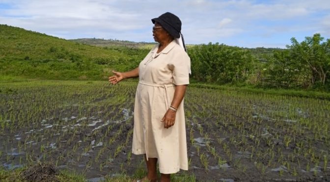 Rizière avec sœur Rosalie